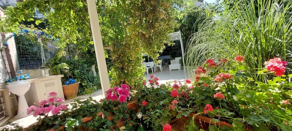 Day, Garden, Garden, Garden view