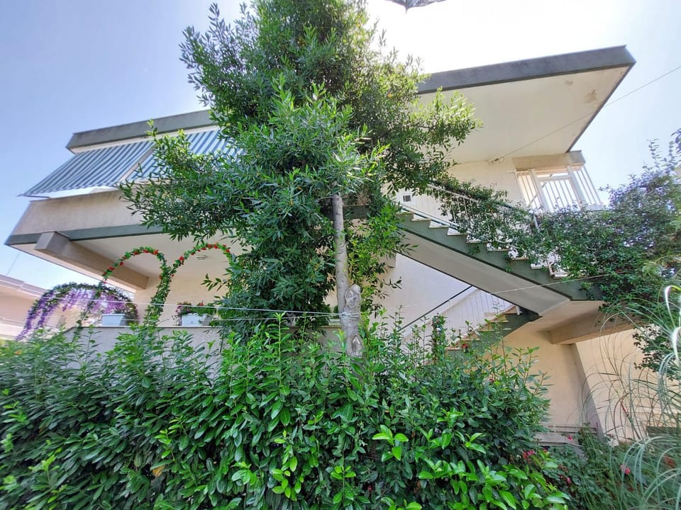 Property building, Spring, Garden, Garden, View (from property/room), Balcony/Terrace, Garden view