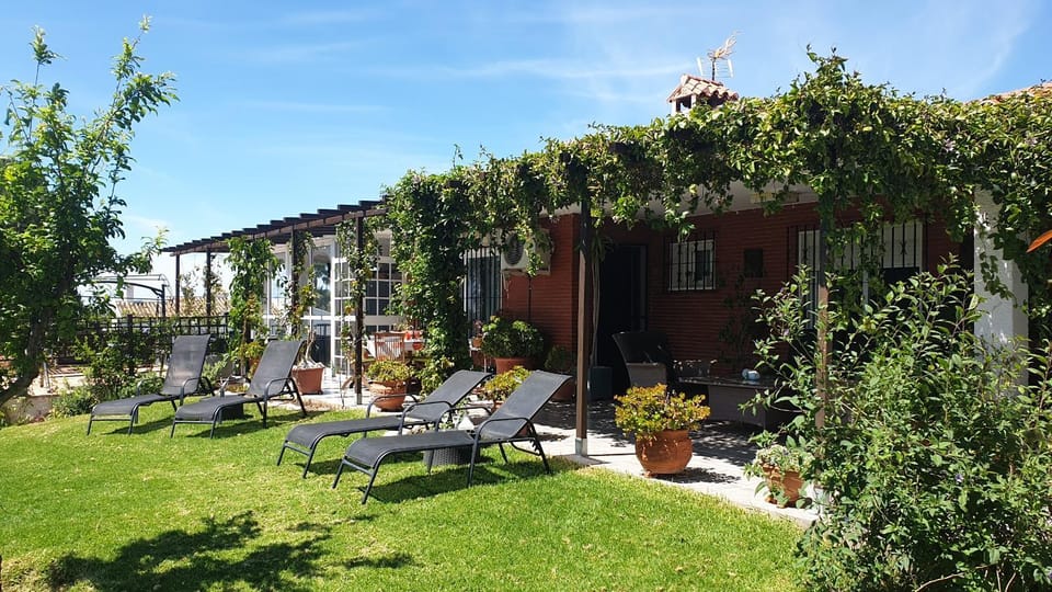 Garden view, sunbed