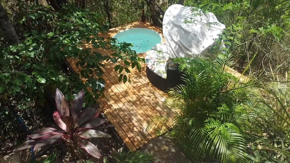 Spring, Garden, Garden view, Pool view