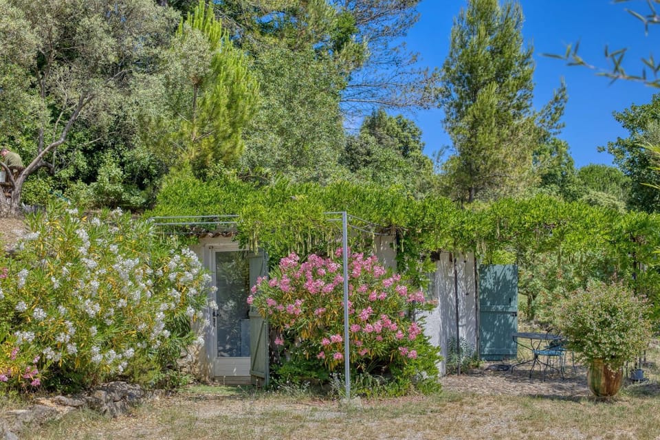 Day, Garden