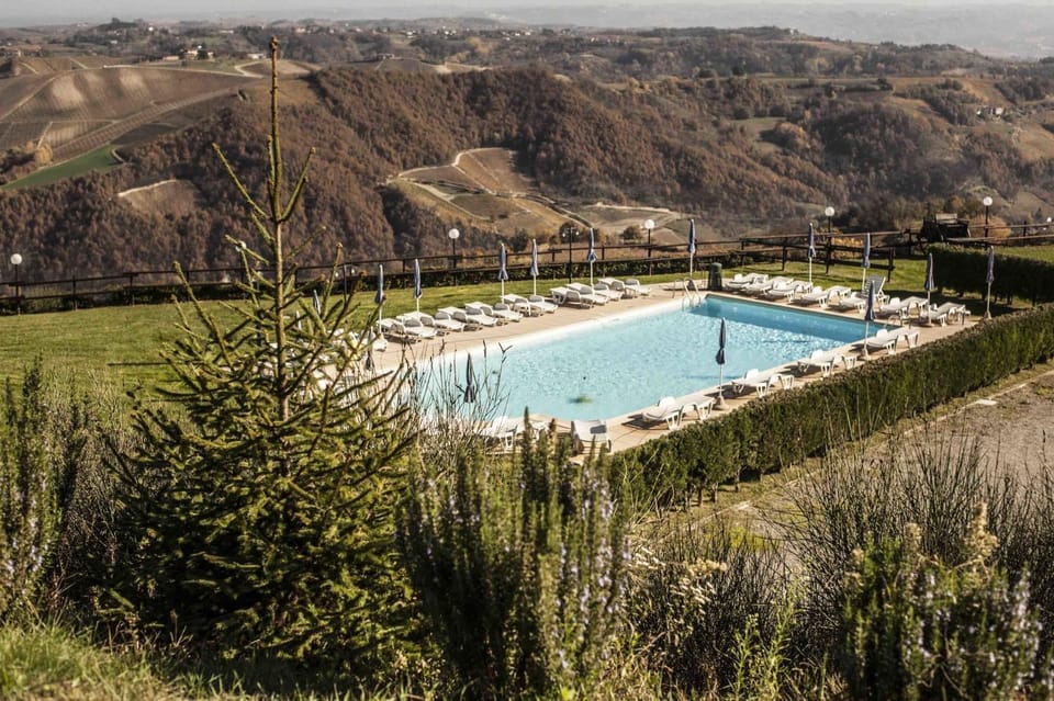 Day, Pool view, Swimming pool