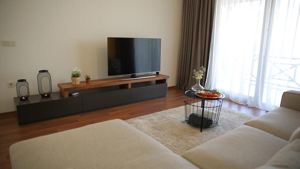 TV and multimedia, Living room