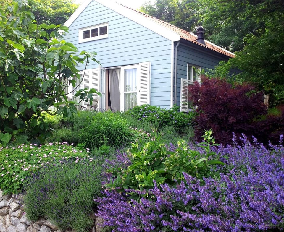 Property building, Spring, Garden, Garden view