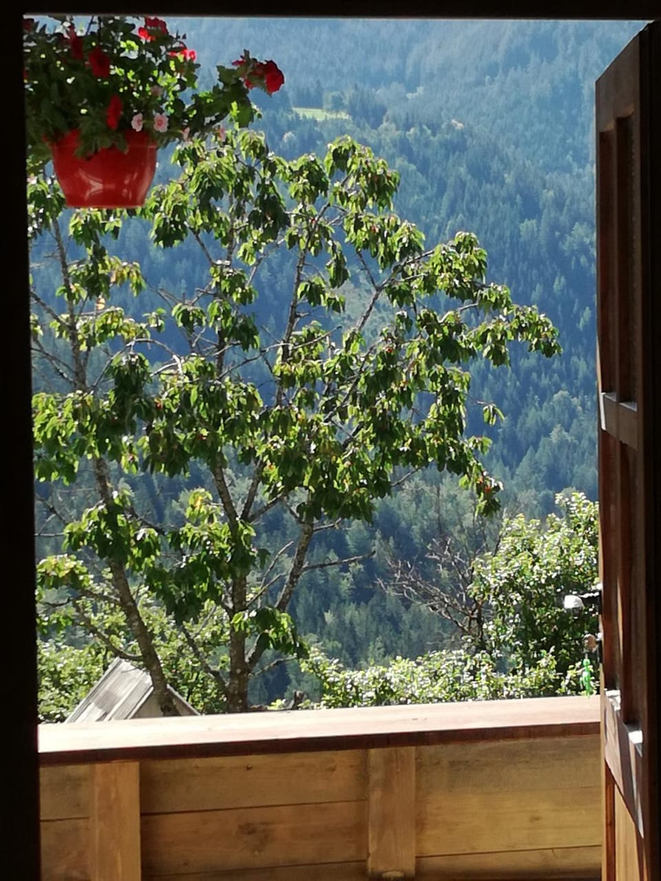 Biohof Sattler Vacation rental in Styria