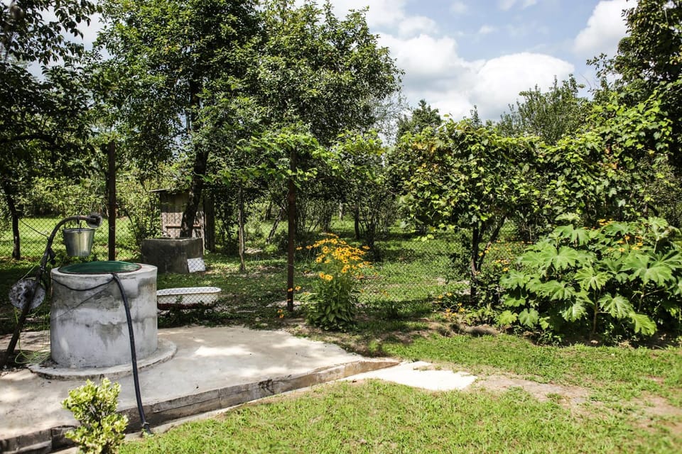 Garden, Balcony/Terrace