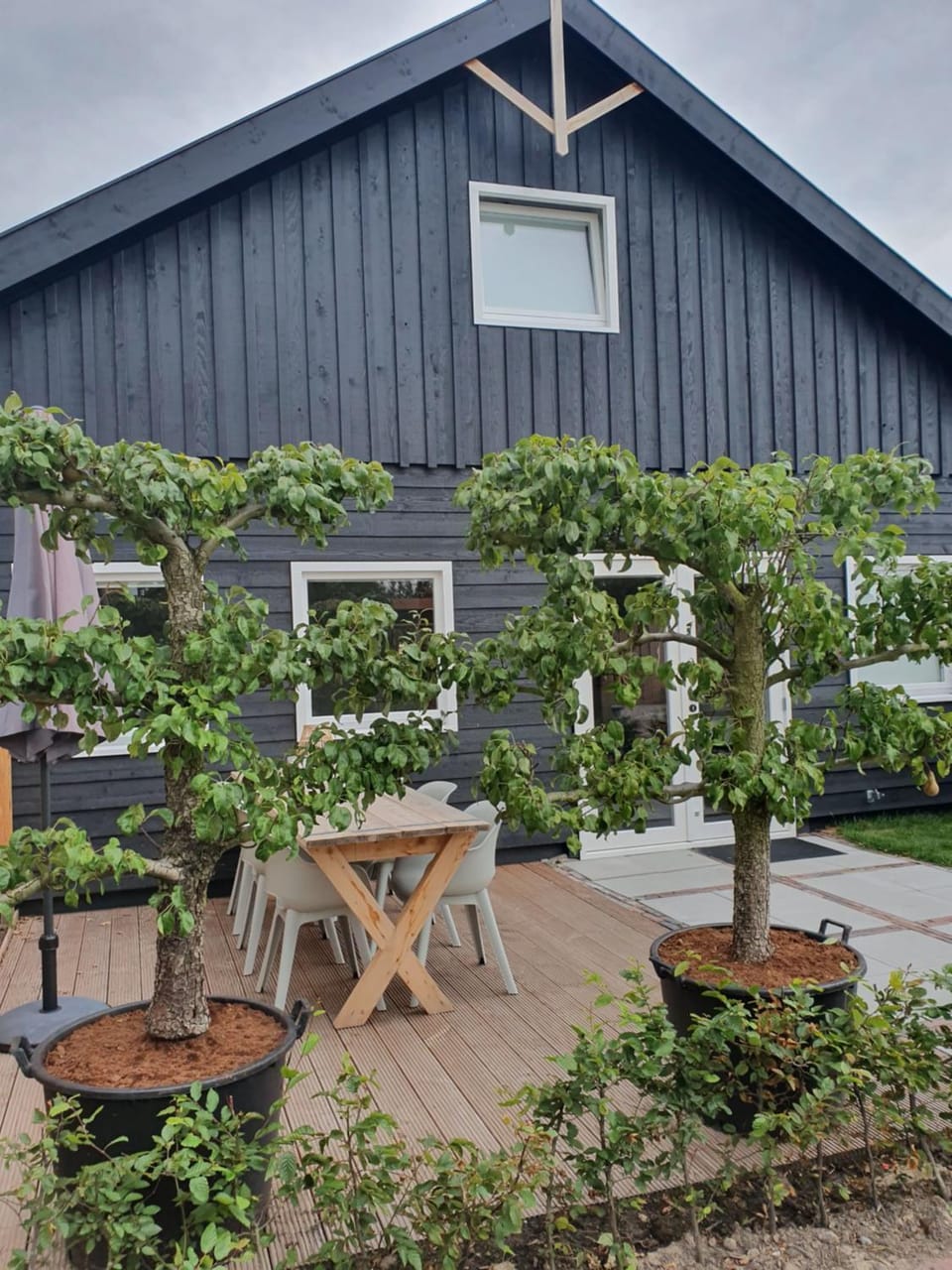 De Bonte beleving House in Oostkapelle