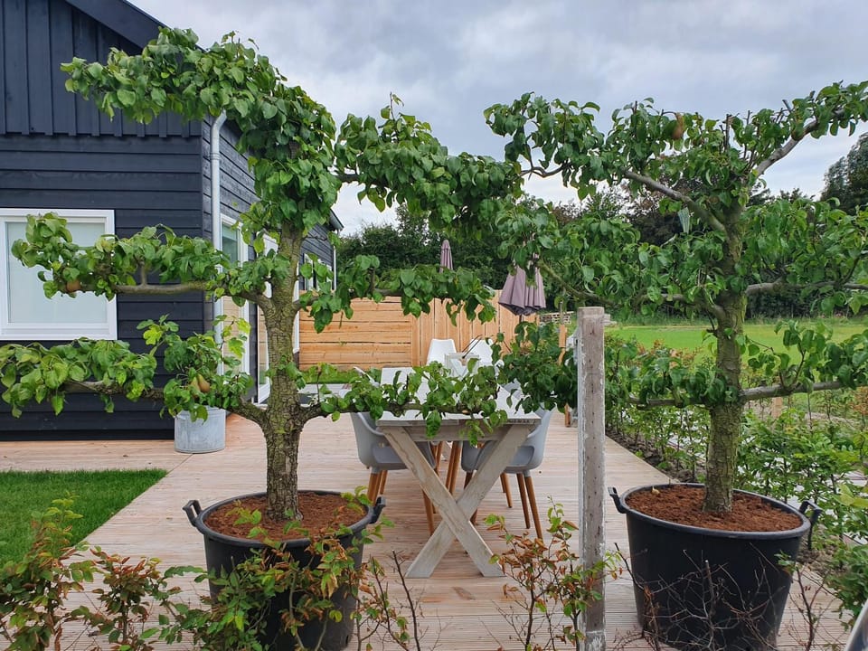 De Bonte beleving House in Oostkapelle