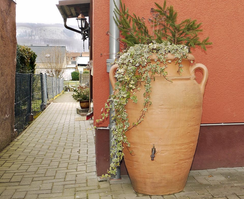 Facade/entrance, Garden