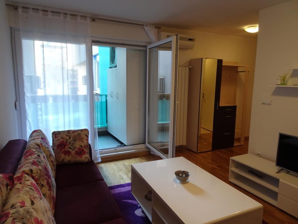 Balcony/Terrace, Living room, Photo of the whole room