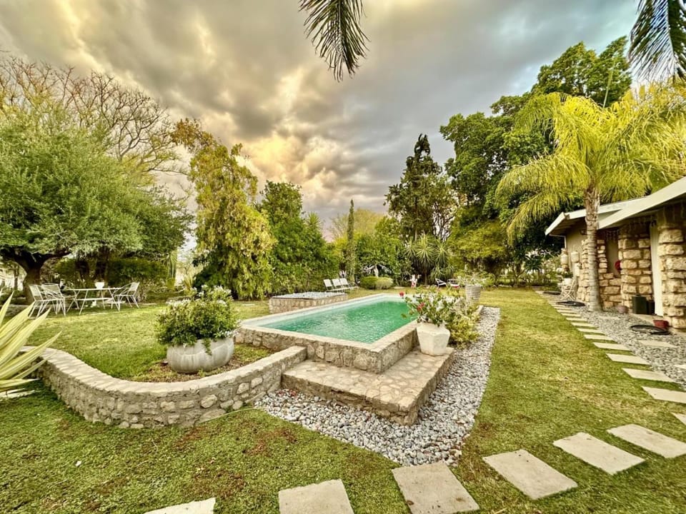 Natural landscape, Garden, Swimming pool, sunbed