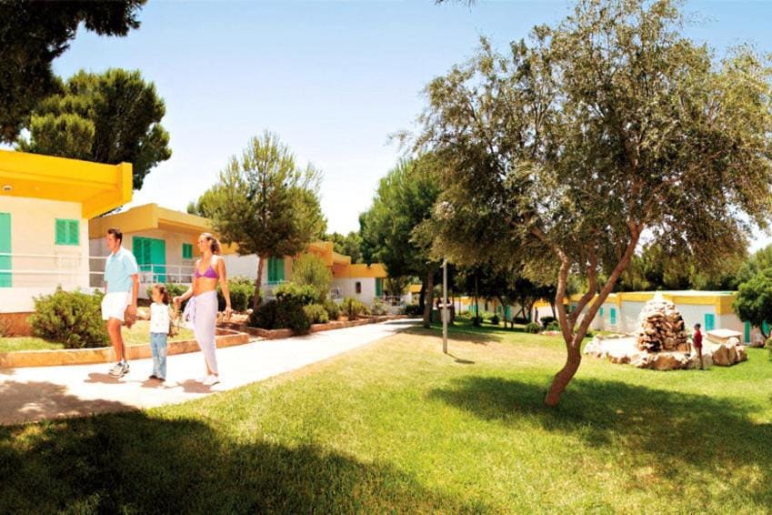 Natural landscape, Garden, Garden view