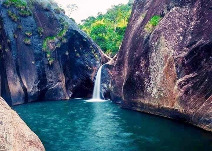 Natural landscape