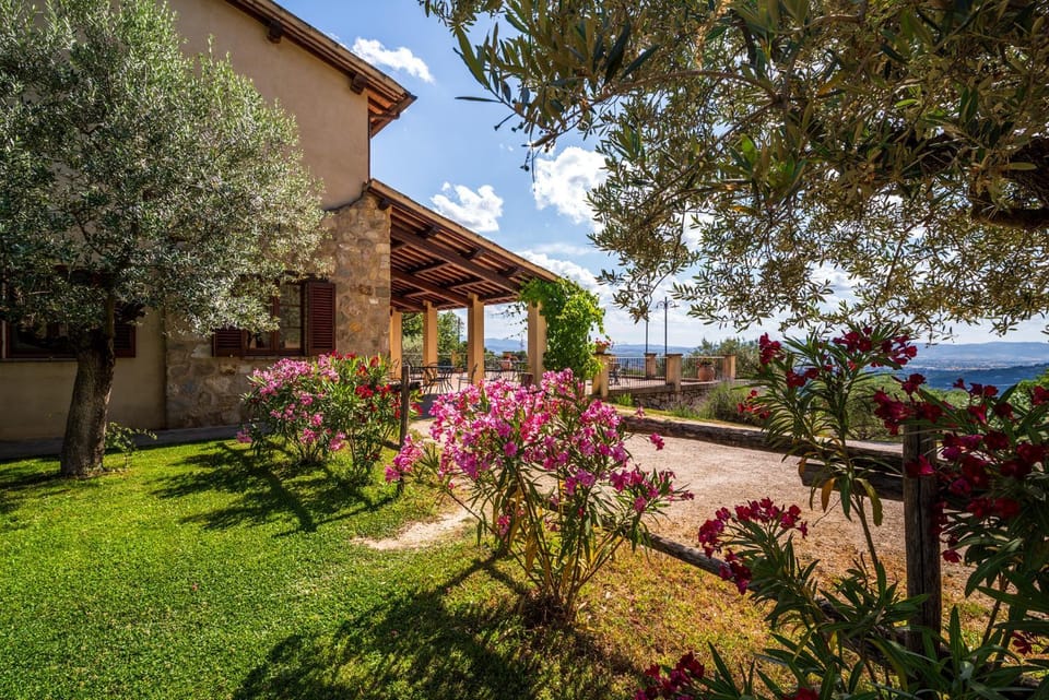 Property building, Patio, Garden, Balcony/Terrace