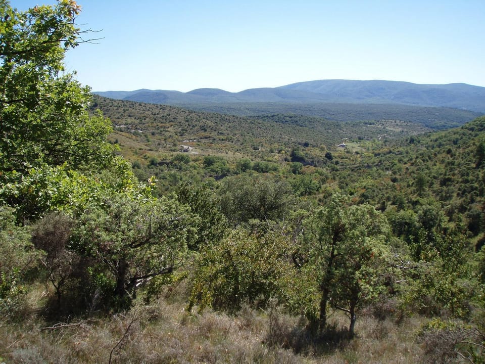 Lespine-10 min Caverne Pont d'Arc Apartment in Provence
