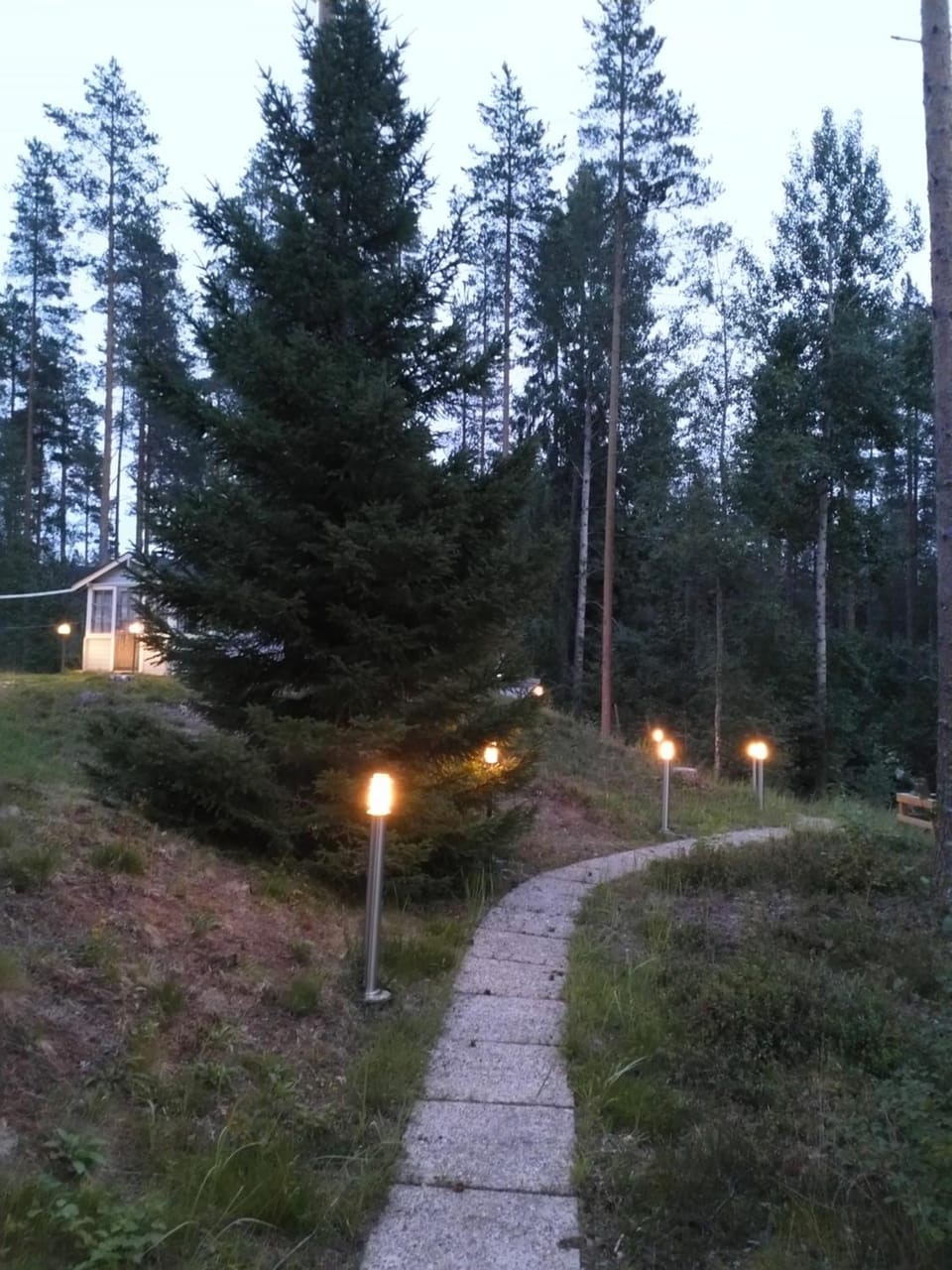 Garden view