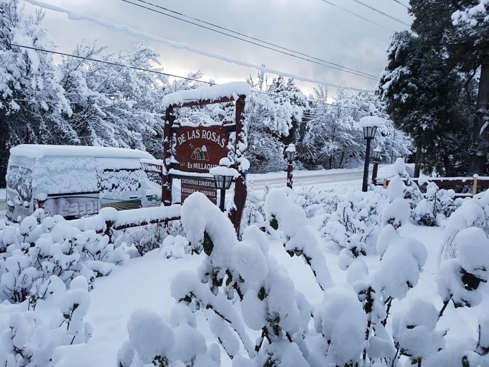 Winter, Garden