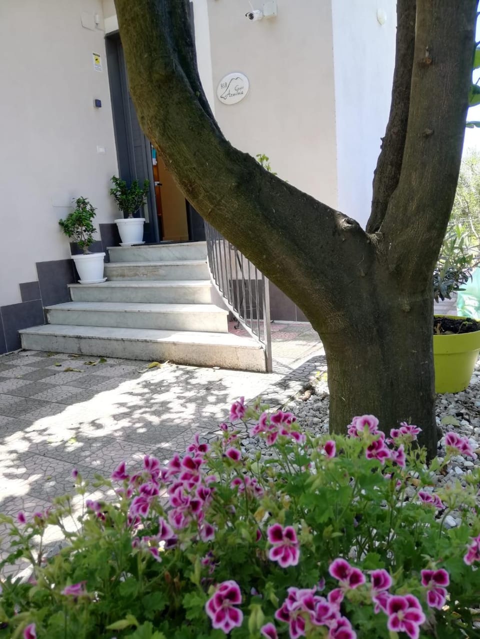 Spring, Day, Garden, Garden view