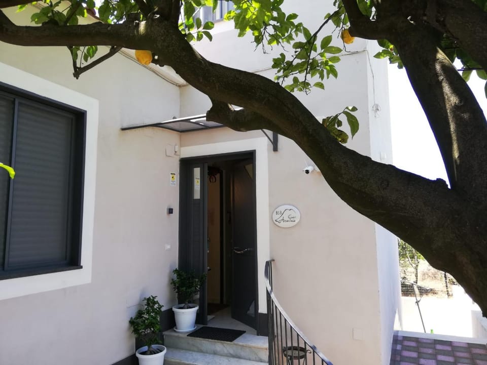Property building, Facade/entrance, Day, Garden