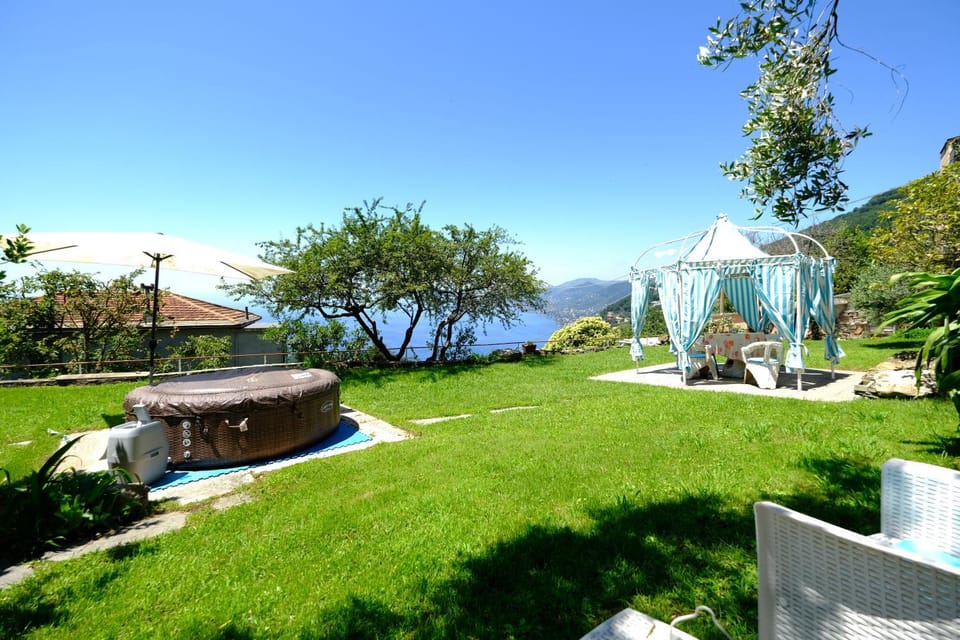 Day, Garden, Garden view