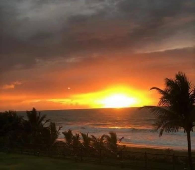 SUMMER HOUSE GENIPABU Apartment in State of Bahia