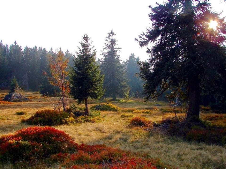 Natural landscape