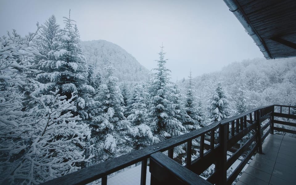 Natural landscape, Winter, Balcony/Terrace, Bedroom, Mountain view