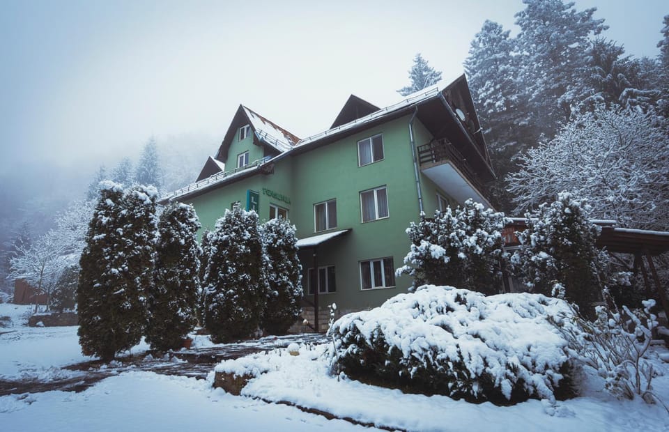 Property building, Natural landscape, Winter