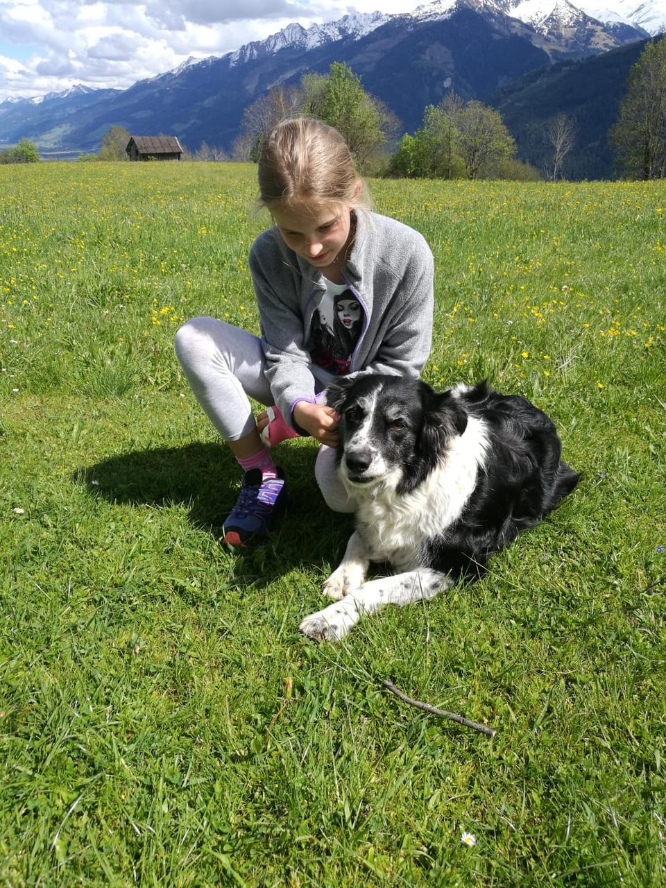 Pets
