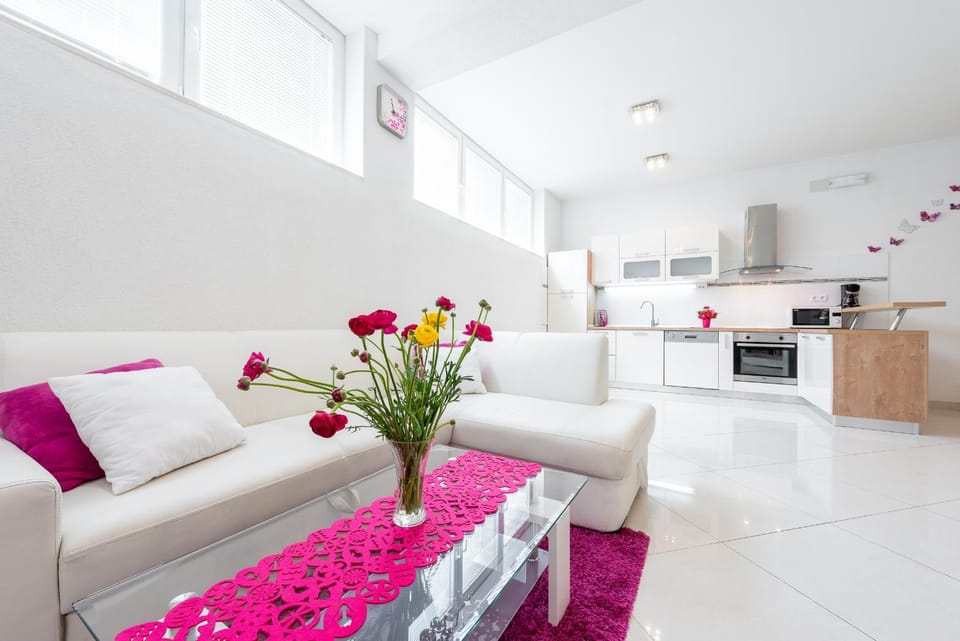 Luxury Sensation spacious & free private garage Apartment in Dubrovnik