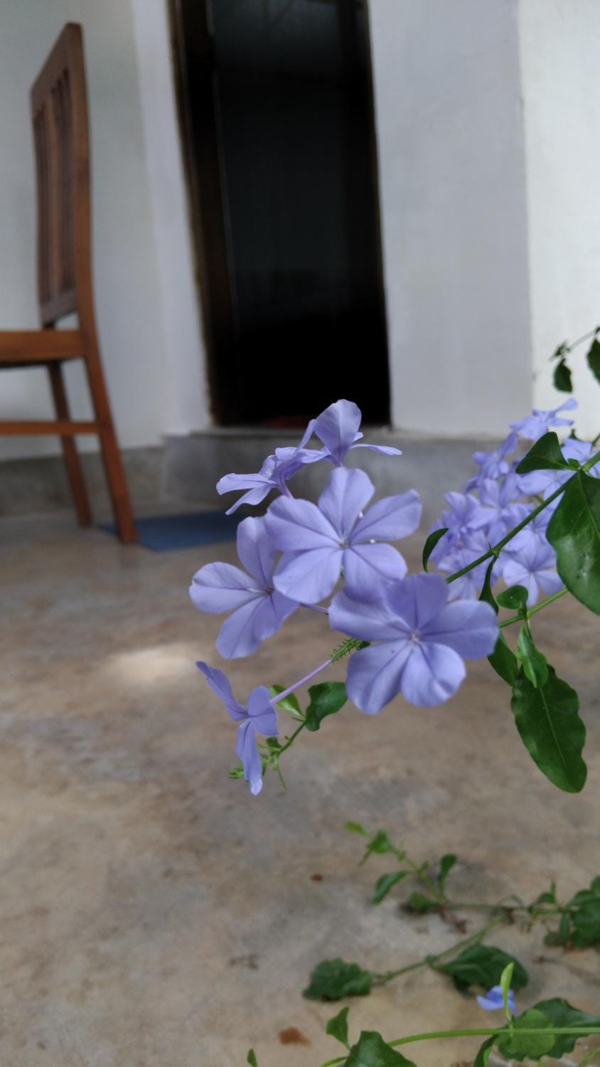 T & U Homestay Vacation rental in Negombo