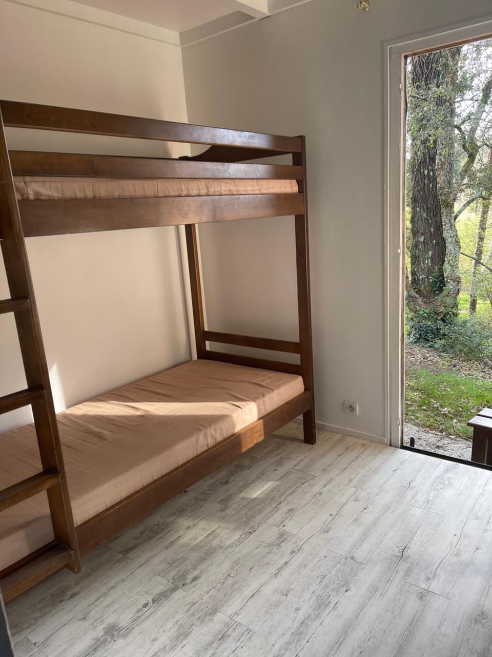 Photo of the whole room, Bedroom, bunk bed