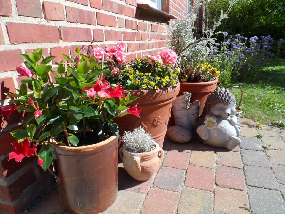 Lütt Verbliev Apartment in Mecklenburgische Seenplatte