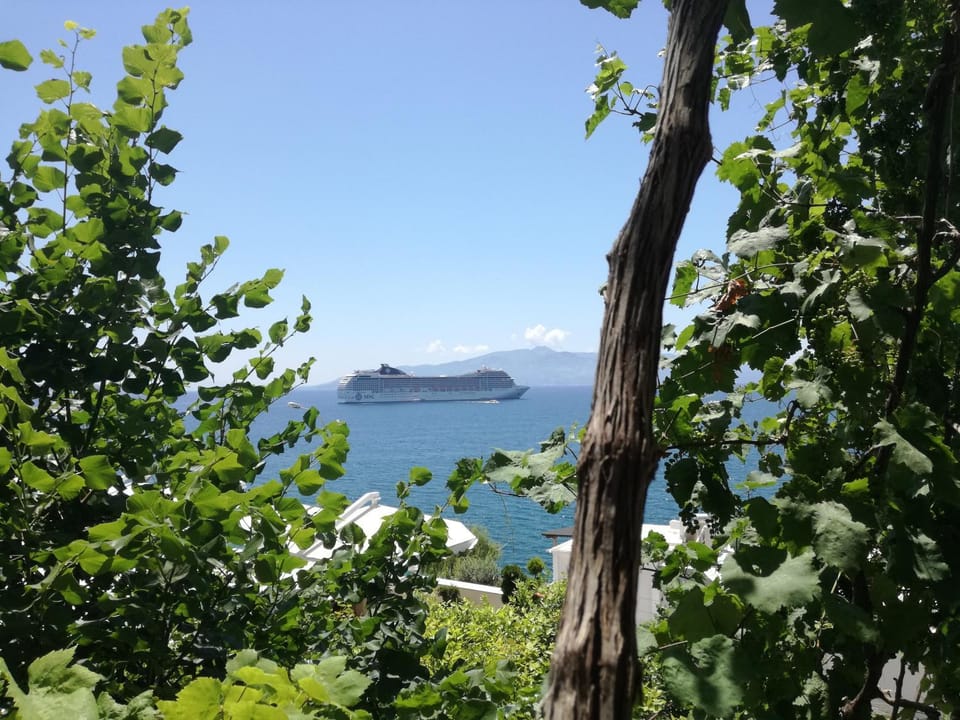 Sea view
