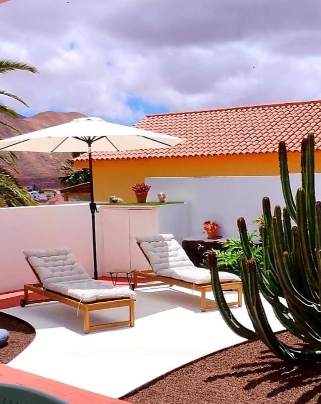 Patio, sunbed