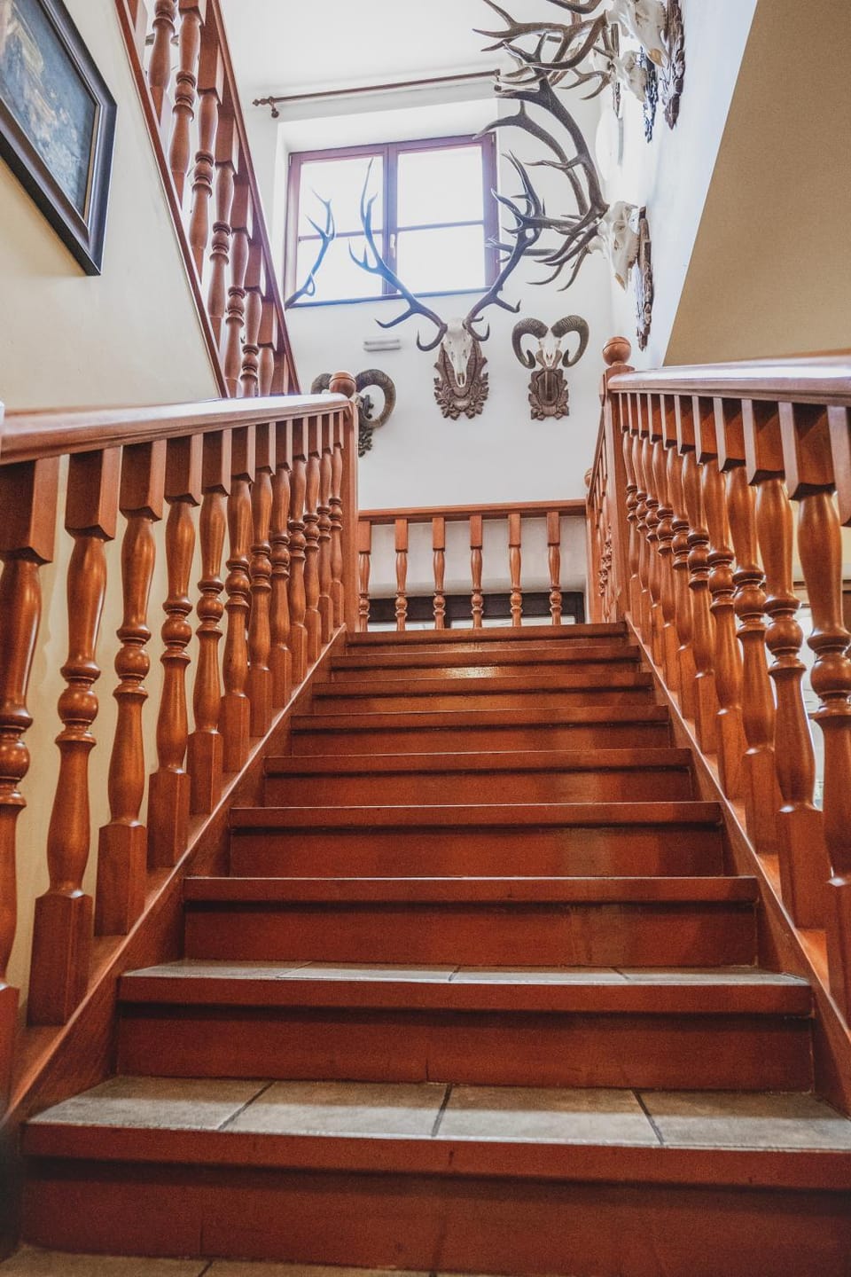 Colatransport Bed and Breakfast in Brno