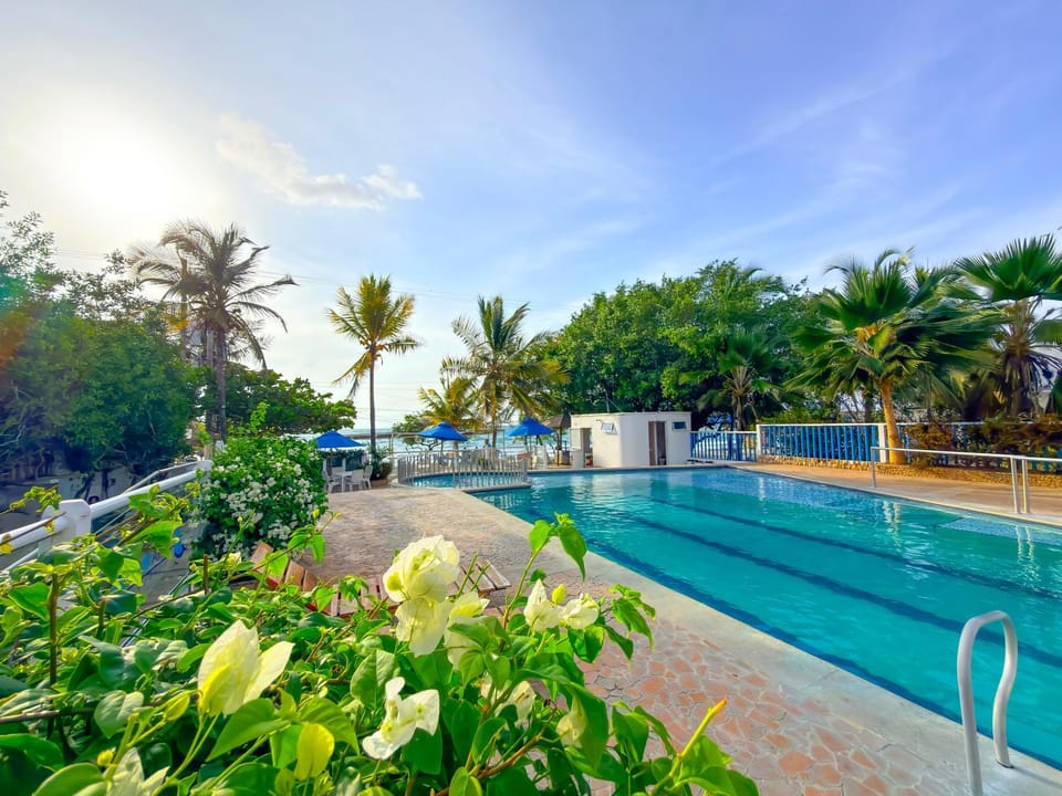 Day, Pool view, Swimming pool