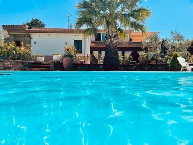 Property building, Pool view, Swimming pool, sunbed