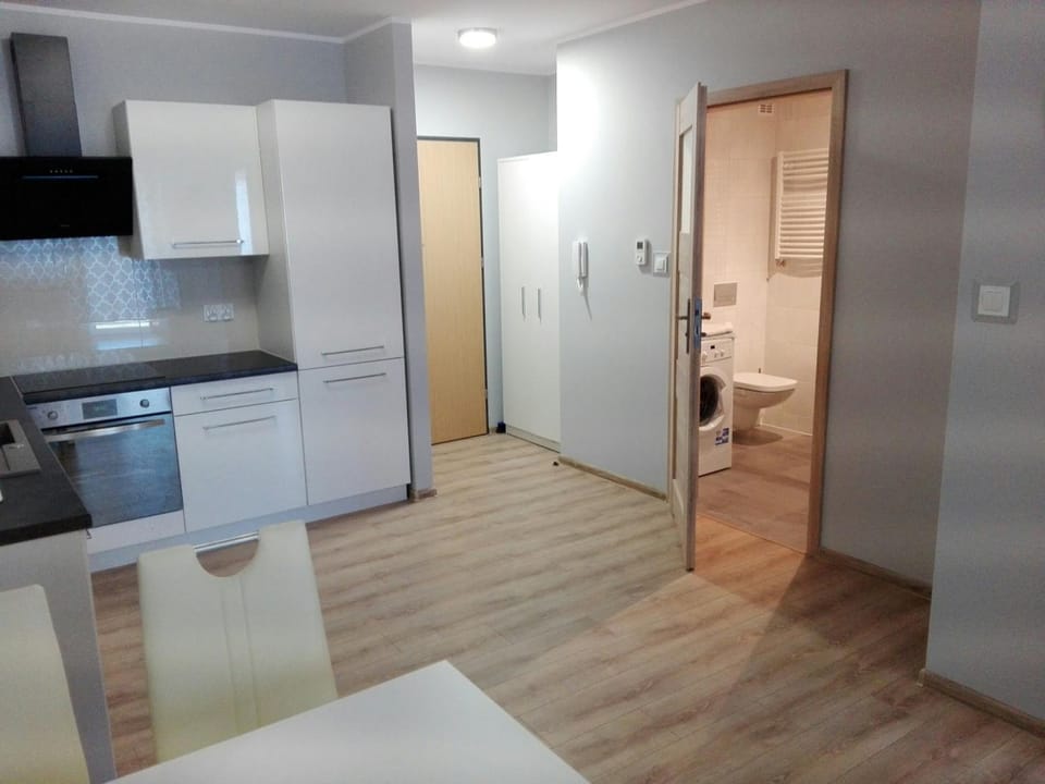 Apartament Marzenie 6 - Opole Apartment in Czechia
