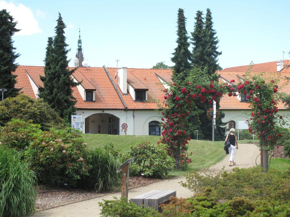 Area and facilities