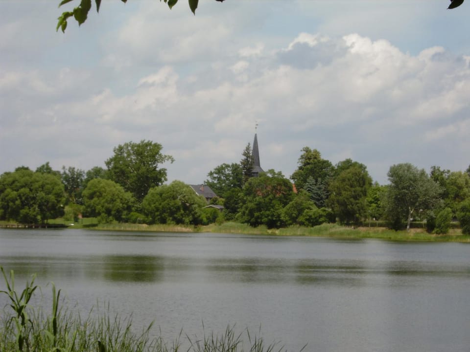 Natural landscape