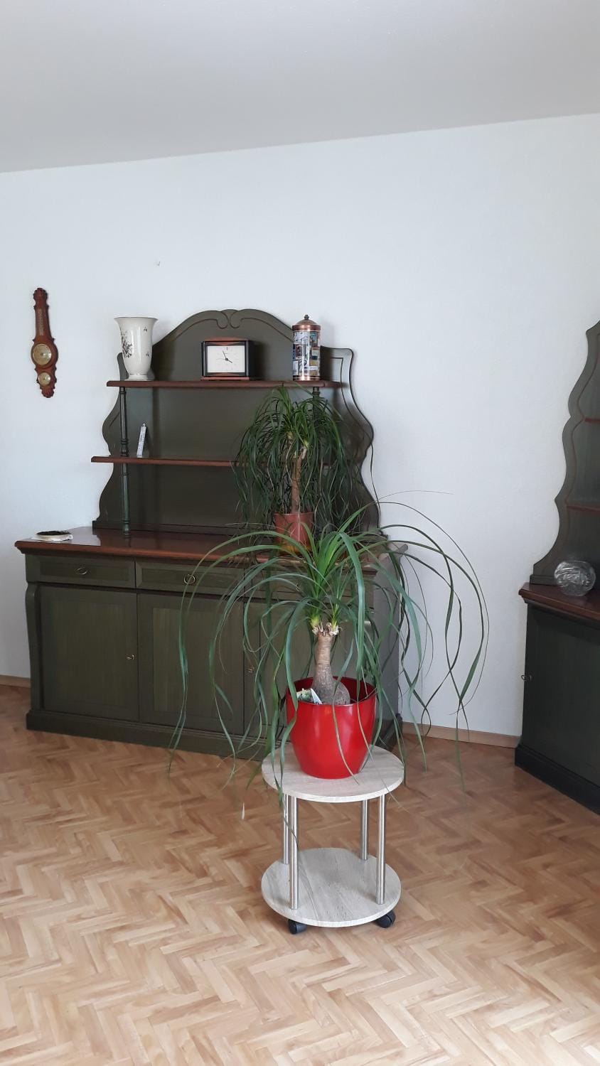 5 Gartenstraße Apartment in Germany
