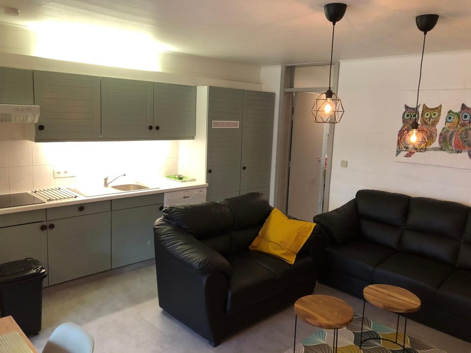 Kitchen or kitchenette, Living room, Seating area