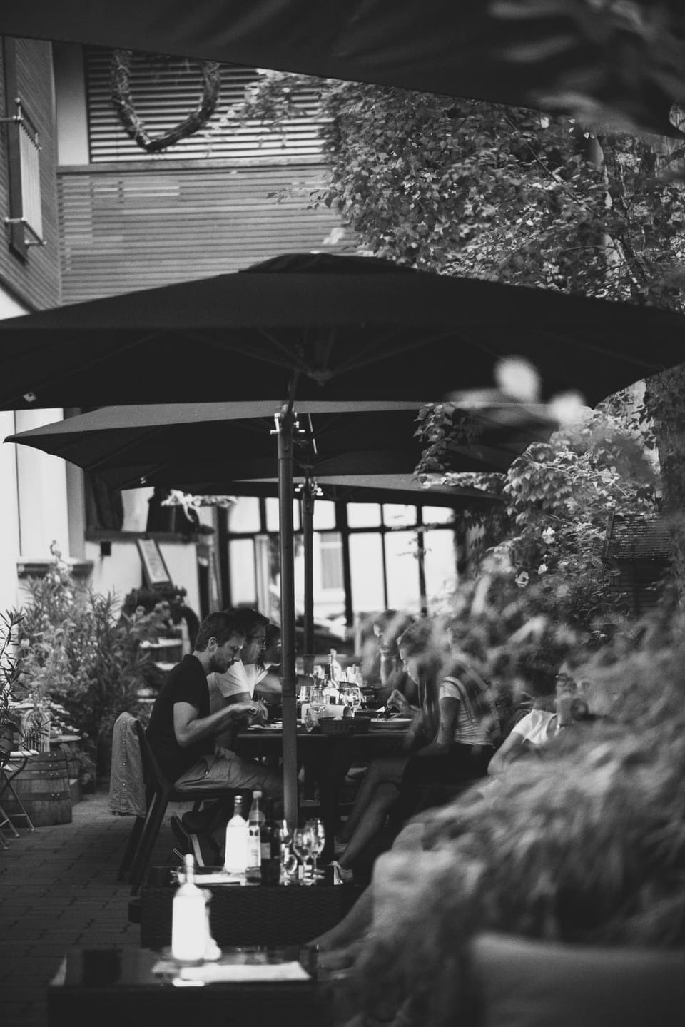 Patio, Patio, Inner courtyard view