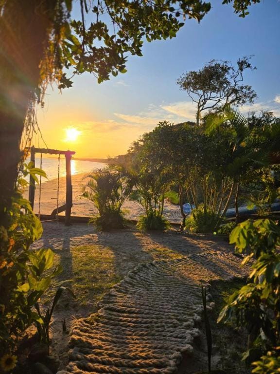 Natural landscape, Garden, Beach, Garden view, Sunset