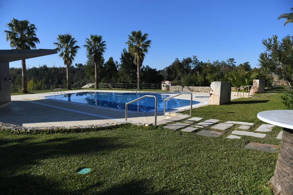 Garden, Garden, Swimming pool
