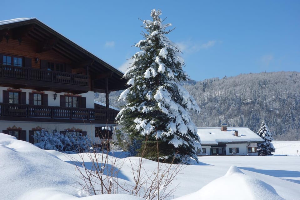 Property building, Winter