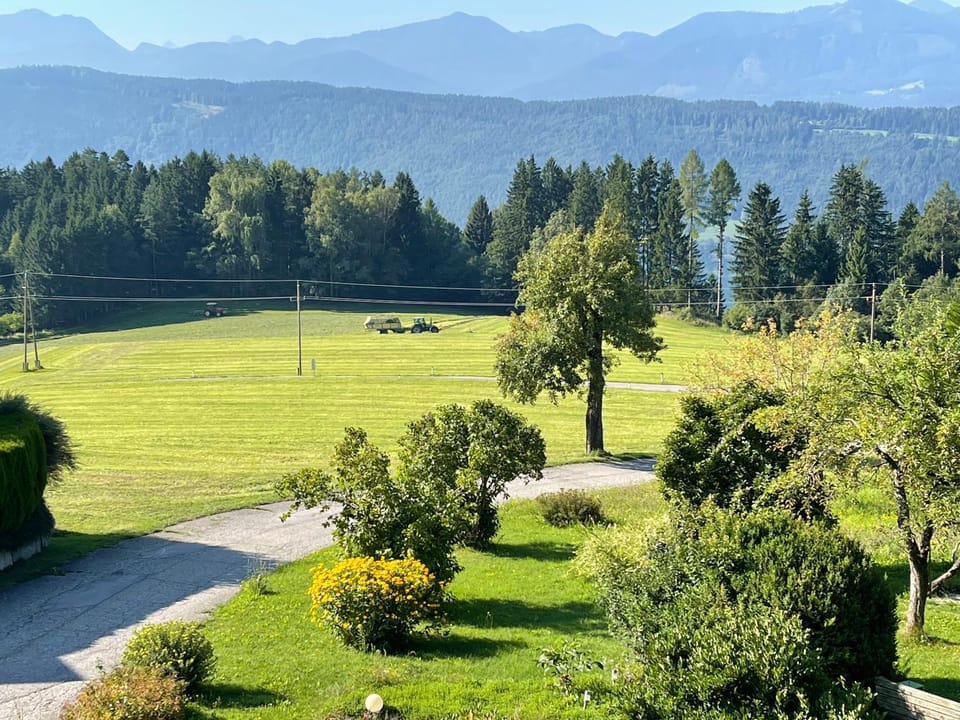 Natural landscape, Garden