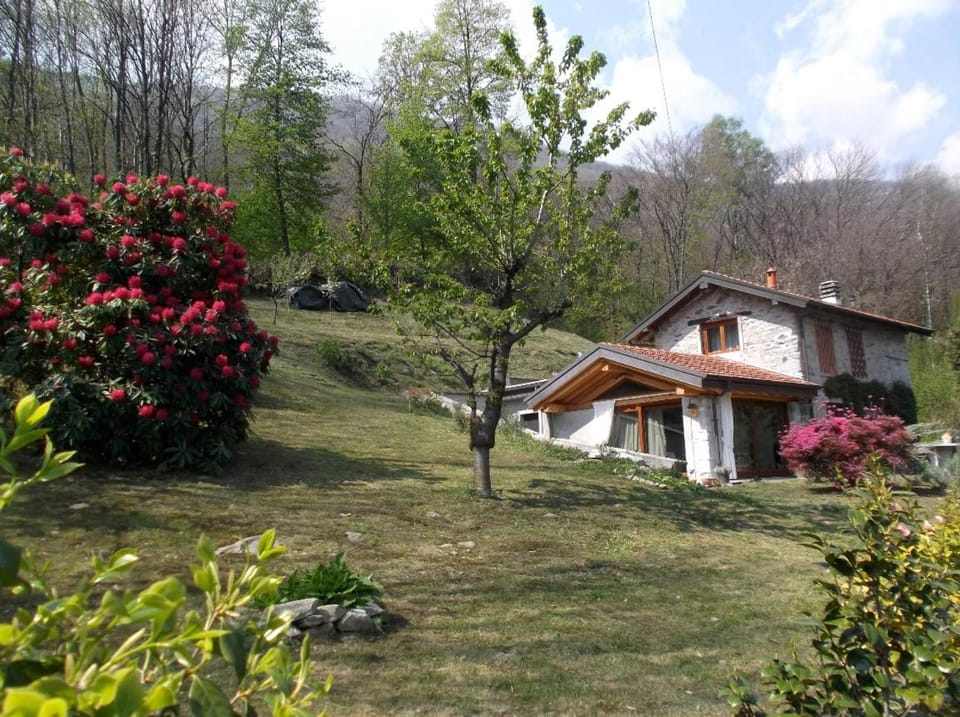 Bellissimo Rustico A 7 km Dal Lago D'Orta House in Omegna