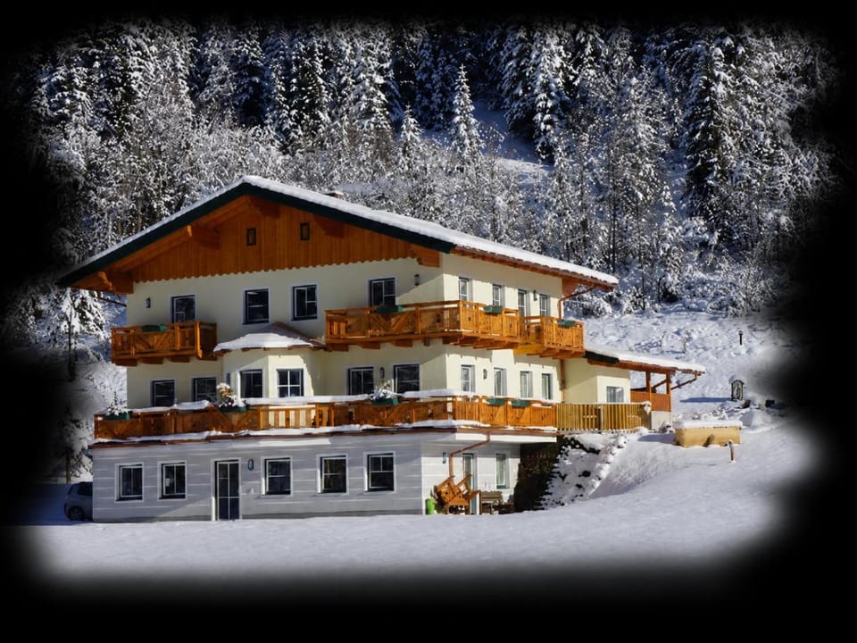Appartement Tauernhof Apartment in Salzburgerland
